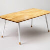 FINT modern dining table