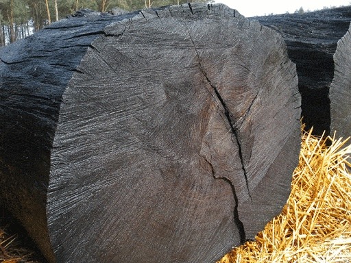 Natural black bog oak