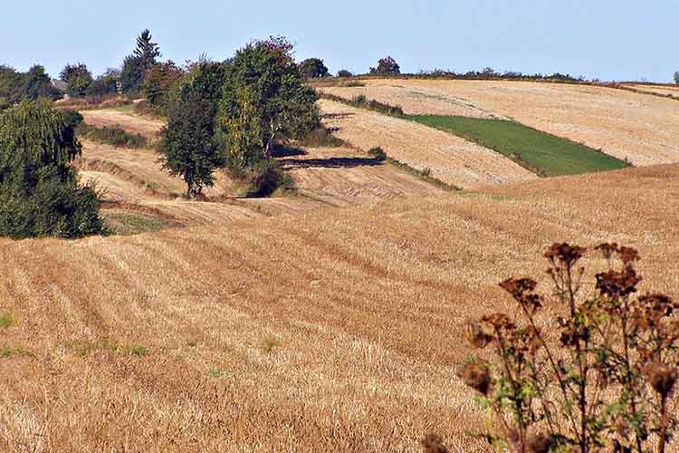 Sierpc Poland fields