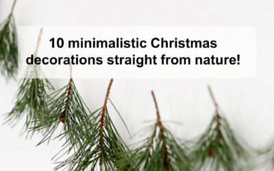 10 minimalistic Christmas decorations straight from nature!